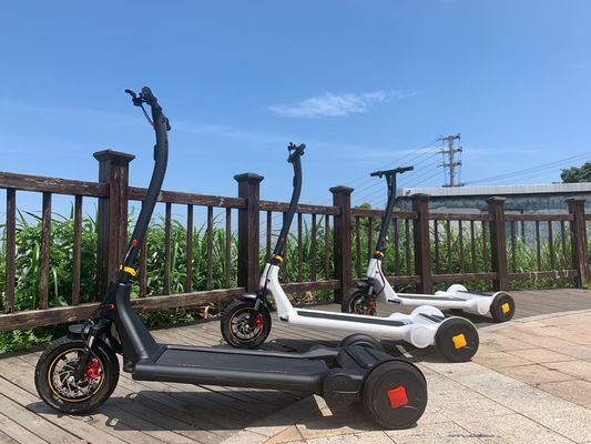 CE 6h Charging 11.3Ah Battery Stand Up Scooter
